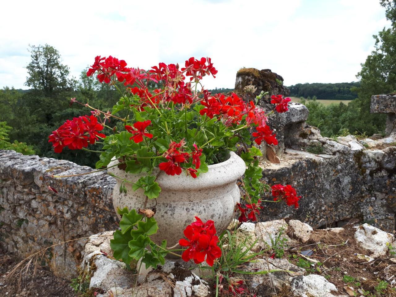 לה בלאנק Villa Du Cerf Thibault מראה חיצוני תמונה